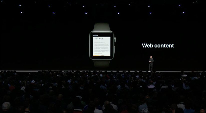 Apple Watch Web Sitesi Verilerini Temizleme