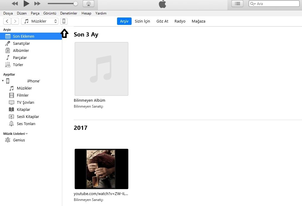 screenshot.287-1 iPhone müzikleri zil sesi yapma (2024)